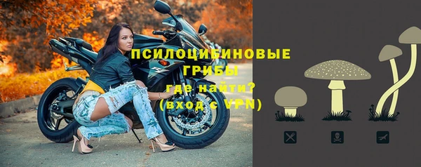 крисы Алексеевка
