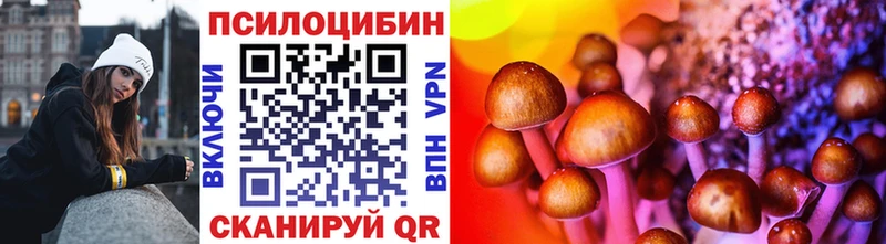 Галлюциногенные грибы Psilocybe  ссылка на мегу   Новоульяновск 
